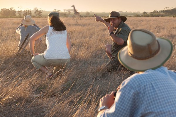 Quels lodges en Namibie incluent des safaris photo et des conférences sur la conservation?