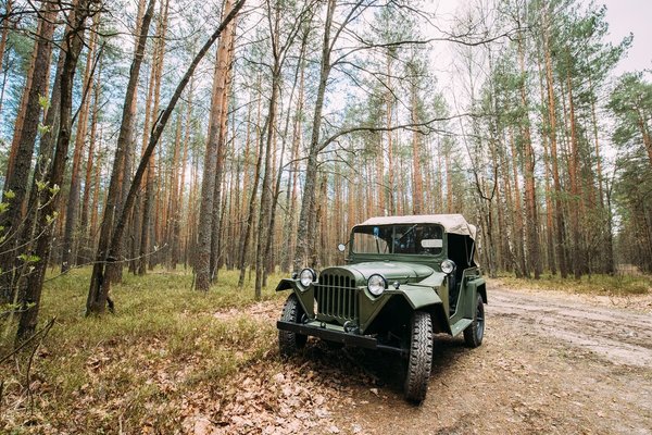 Comment évacuer les gaz dans le ventre ?