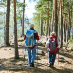 Comment planifier une aventure en traîneau à rennes en Laponie finlandaise ?